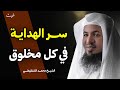 سر الهداية في كل الخلق الشيخ محمد الشنقيطي 