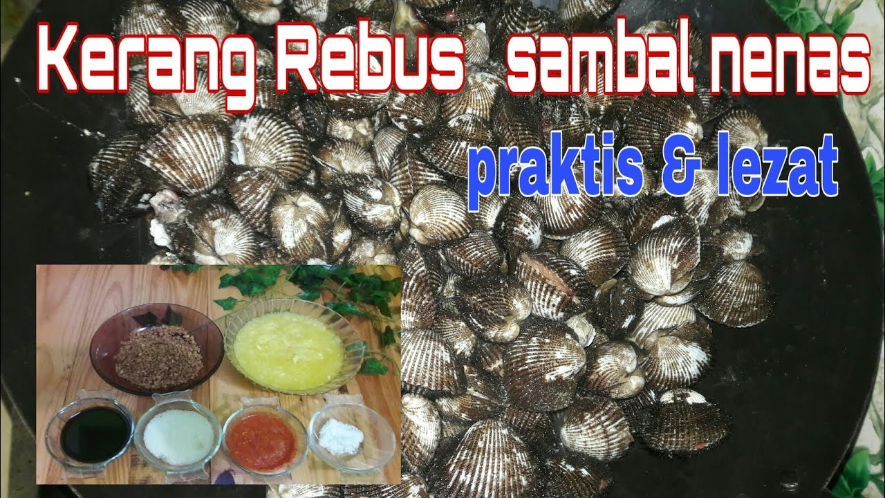 RESEP KERANG REBUS MEDAN SAMBAL NENAS YouTube