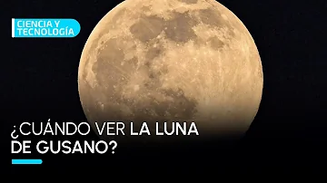 ¿Cómo es la Luna de Gusano 2023?