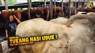 SAPI PO JUMBO 1 TON UP🔥 TUKANG NASI UDUK BELI SAPI QURBAN JUMBO, 