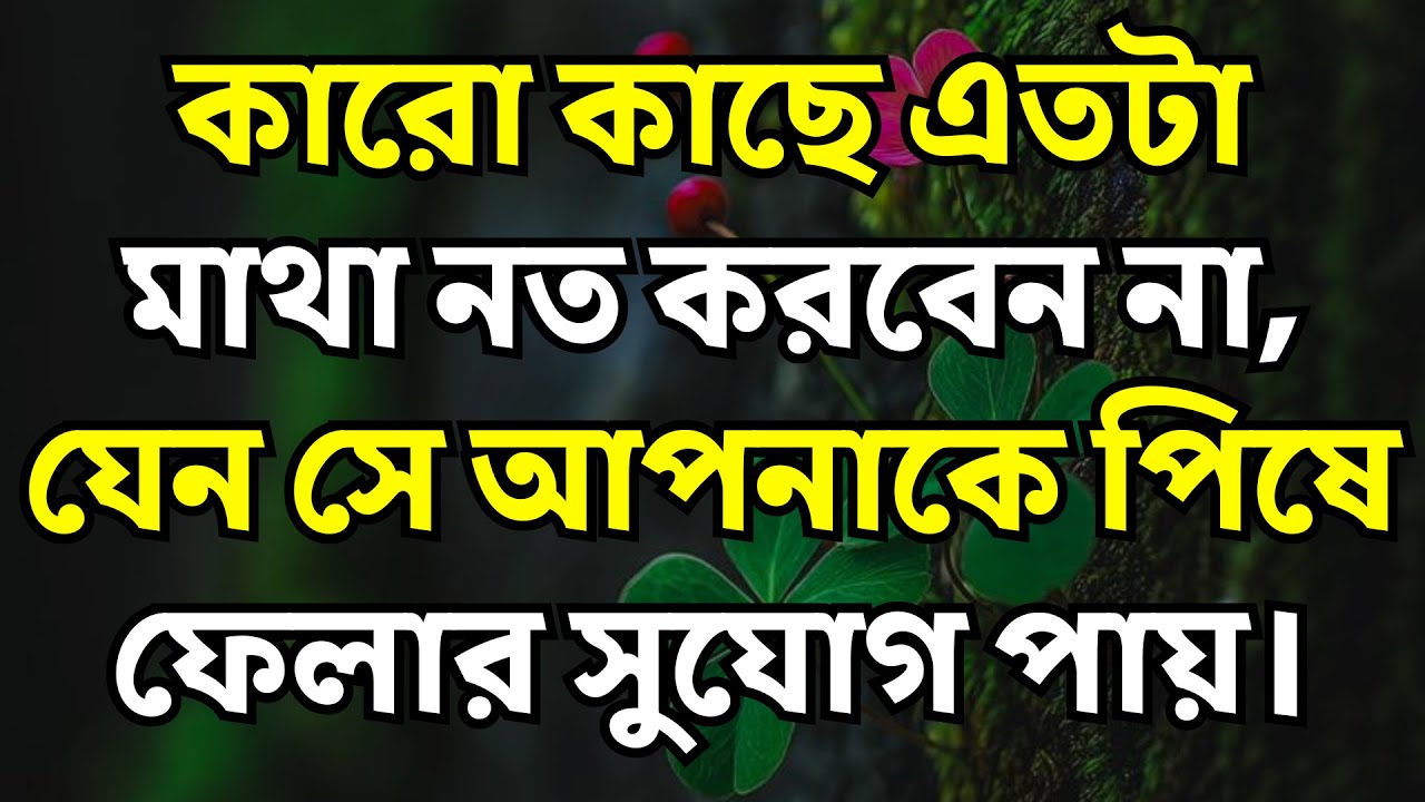 সময় এবং সম্পর্কের মূল্য | Emotional Life Lessons | Nehal Motivation Bangla