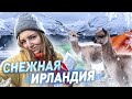 СНЕГОПАД В ИРЛАНДИИ | Деревенская жизнь в Ирландии