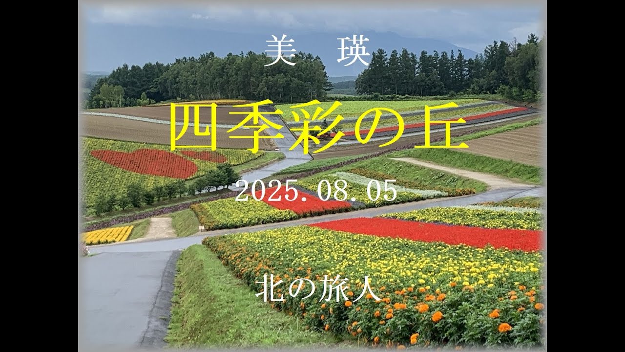 美瑛　四季彩の丘　　　2025.08.05