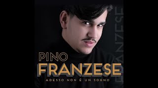 Vignette de la vidéo "Pino Franzese - Tu me piace"