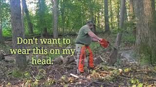 HOLZFFORMA 288 xp clone saw. This saw is a beast, love it. #chainsaw