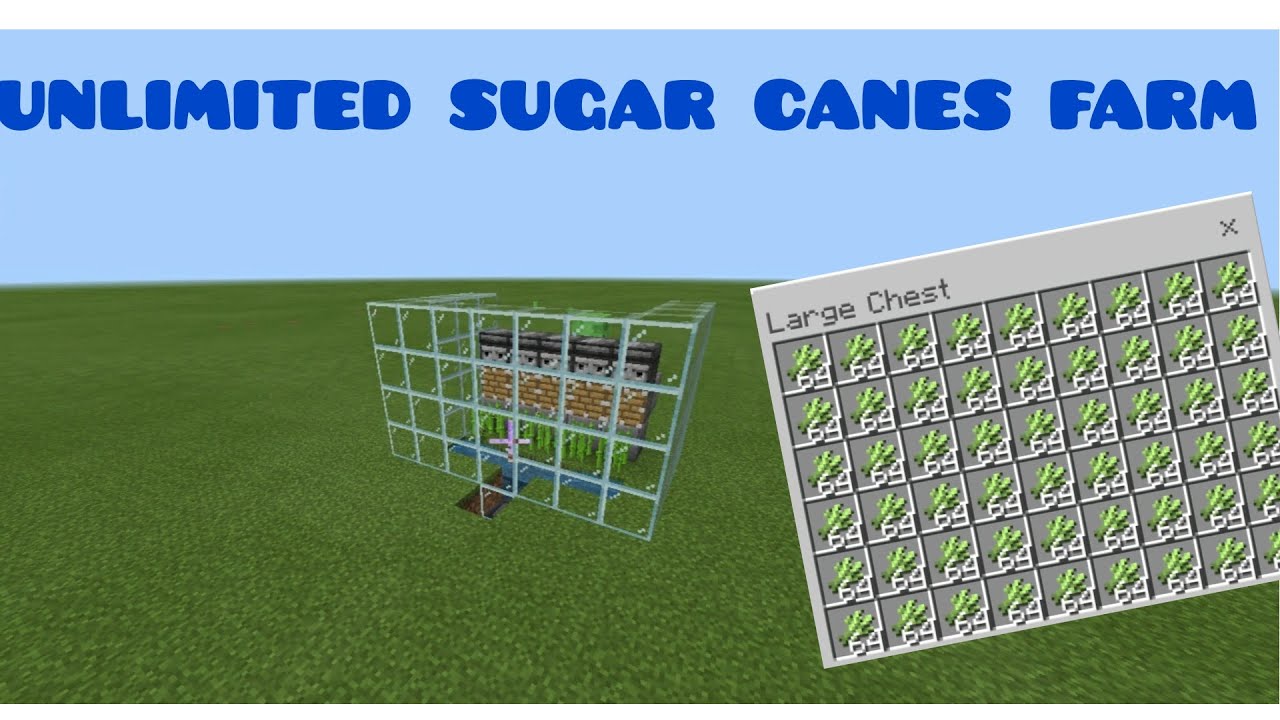 How to make unlimited sugar canes farm in minecraft YouTube