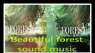 Morning beautiful forest sound music relaxing healing system sound