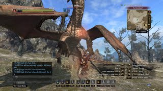 Warrior vs Drake Solo Dragon s Dogma Online Revival