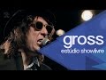 Eu aqui e voc nem a  marcelo gross no estdio showlivre 2014