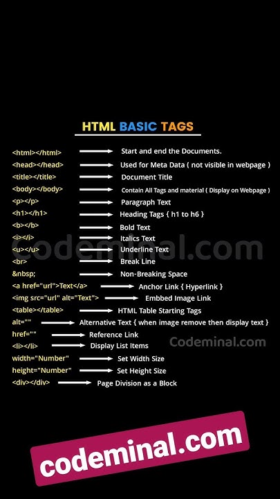 HTML Basic Tags For Beginners | #htmlcodes #html - YouTube