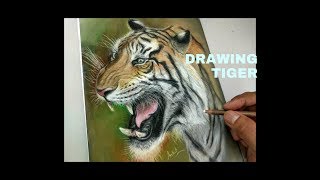 Drawing realistic Tiger using Pastels screenshot 4