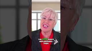 This Galveston Secret Is Costing You Thousands