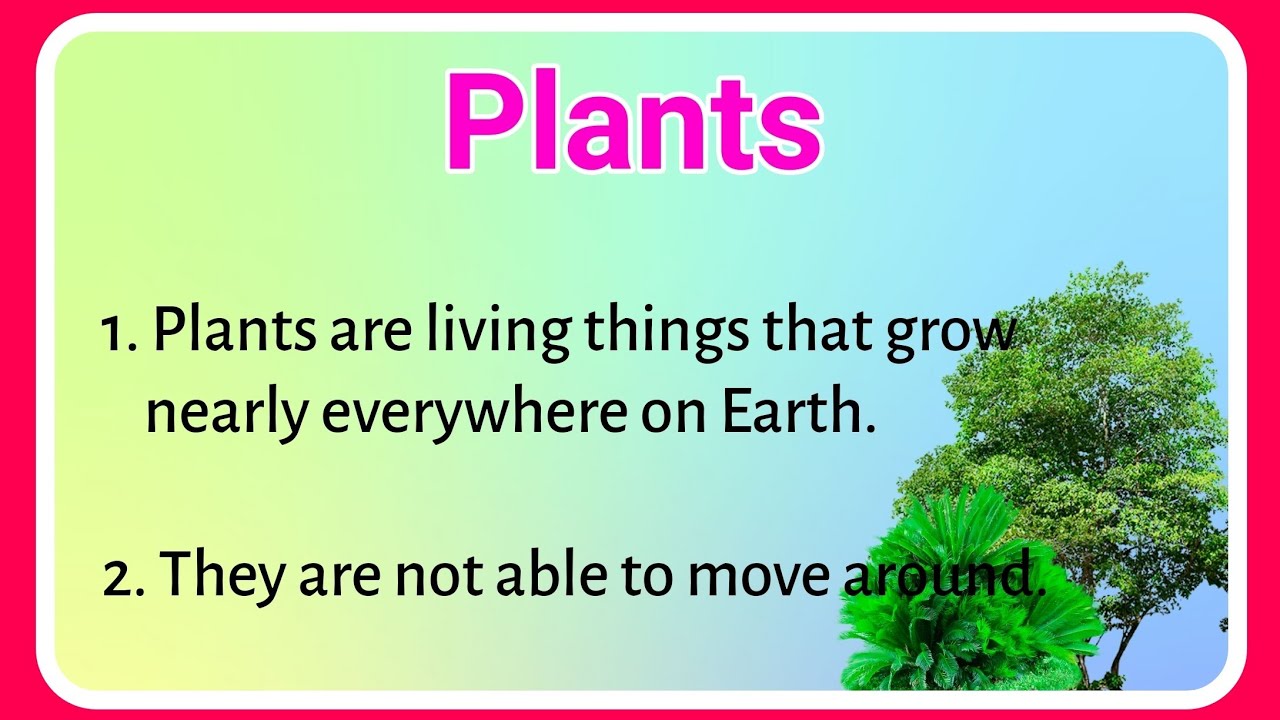 plants essay for class 1