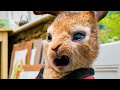 PETER RABBIT All BEST Movie Clips + Trailer (2018)