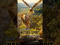 Spirit of Nature 🌿 Leo Rojas • El Condor Pasa | Beautiful of Native American #shorts