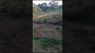VID 20240125 WA0016