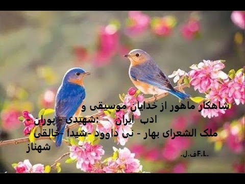 گلهای رنگارنگ ۳۳۸شاهکار ماهور شهیدی پوران نی داوود شیدا بهار شهناز خالقی ف ل  