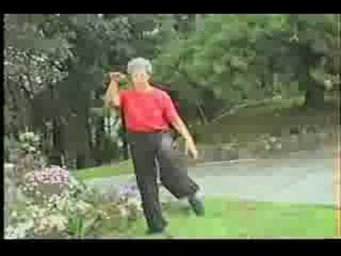 qi gong for beginners Qi Gong 10 Symbols of Longevity Exercises 5,6 & 7