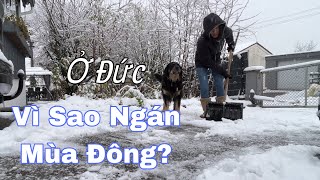 Tuyết rơi ngập lối. Nỗi lo mùa đông của nhiều người vì lý do | Cuộc sống nông thôn ở Đức