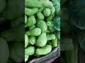 Fresh foods fresh vegetables #shortsvideo #
