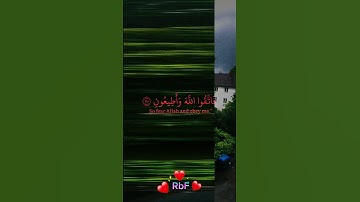 كَذَّبَتْ قَوْمُ نُوحٍ الْمُرْسَلِينَ]سورة الشعراء ياسر الدوسري #قران_كريم #تلاوة_خاشعة #راحة_نفسية