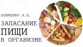 Запасание организма питательными веществами. Основные компоненты питания (БЖУ). А.Н.Алименко.