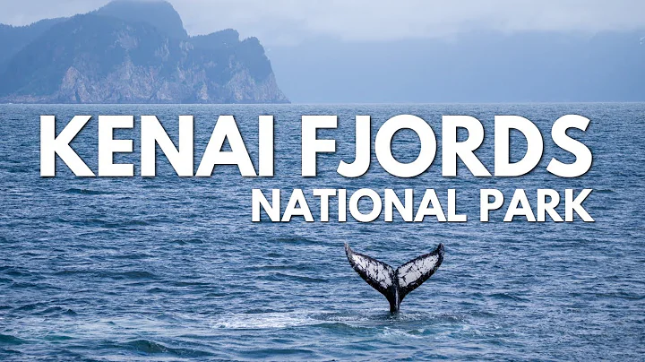 Kenai Fjords National Park Boat Tour + Glaciers & RARE Bubble Feeding Whales - DayDayNews