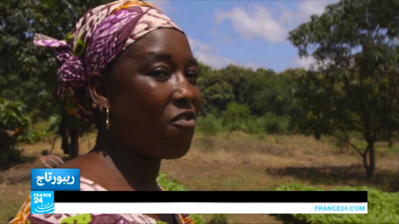 غانا تراجع مستوى الغابات ينهك المواطنين Youtube