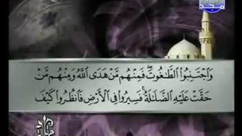سورة النحل 16 - 114  توفيق الصائغ - قراءة مرتلة