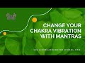 Change Your Chakra Frequency with Mantras - Energy Medicine Health