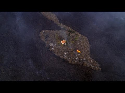 Vidéo: Des Vétérinaires étrangers Aident à Chasser Les Serpents Dans Une Thaïlande Touchée Par Les Inondations