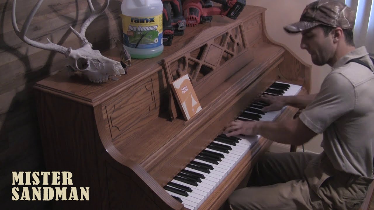 Leslie Blake - Mr. Sandman