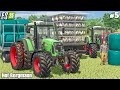 Silage BALES Collect w/ Medium Fendt & Buying Chicken | HOF BERGMANN | Farming Simulator 25