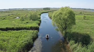 Nuestra expedición: Proteger nuestro hogar verde | Documental