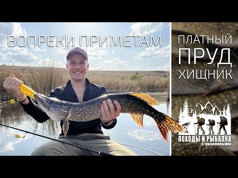 Видео: Семейная рыбалка на хищника в октябре (01.10.2023)