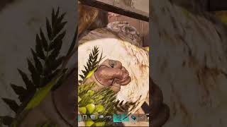 Easy way to tame a Rock Elemental #ark #astraeos #gaming #asa #dinosaur #ark #funny #guide