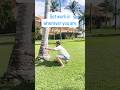 Find a tree & get to work #footballtraining #beachworkout #football #quarterback #dline #oline #nfl