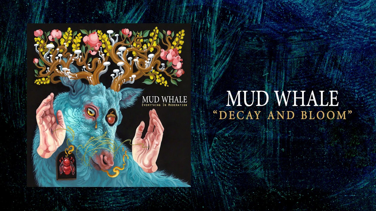 Watch Mud Whale - Decay and Bloom (Official Audio) on YouTube Watch Mud Whale - Decay and Bloom (Official Audio) on YouTube