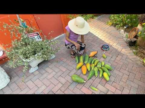 Yes, We Have No Banana - But We Do Have...