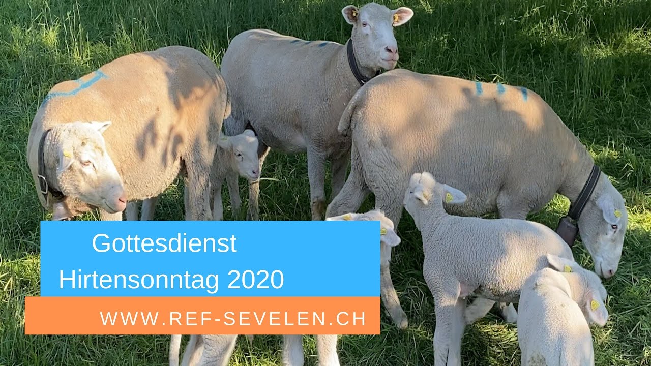 Gottesdienst zum Hirtensonntag am 26.April 2020 in Sevelen