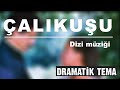 ÇALIKUŞU DİZİ MÜZİKLERİ / Esin Engin - Dramatik Tema