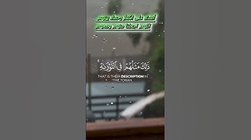 تلاوة عطرة للشيخ ياسر الدوسري محمد رسول الله