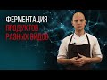 ФЕРМЕНТАЦИЯ ПРОДУКТОВ РАЗНЫХ ВИДОВ