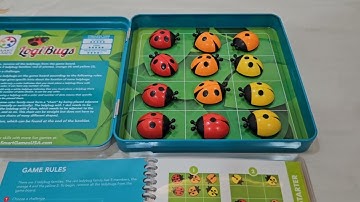 How to play Logi Bugs (magnatic) by SMART GAMES from Unnati Library