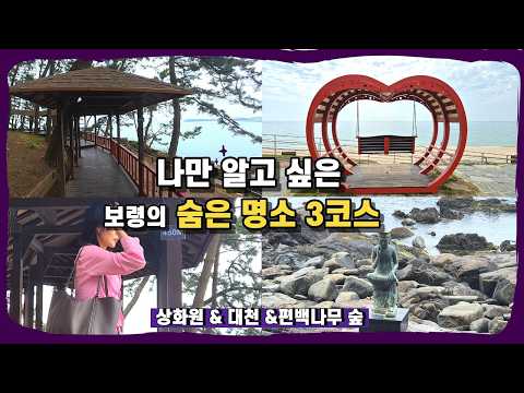 보령 여행 필수 코스 TOP 3! 상화원부터 대천해수욕장, 편백나무 숲까지 완벽 가이드