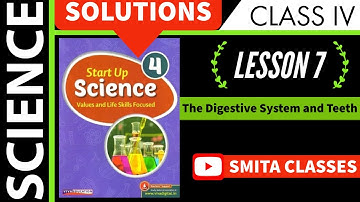 Digestive System and Teeth Lesson 7  Class 4 SCIENCE | Start Up Science | Solutions