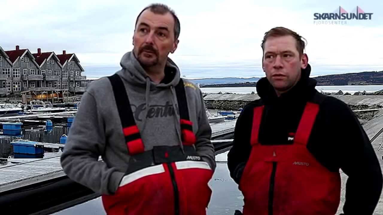 Shore Fishing at Skarnsundet - Skarnsundet Fjordsenter