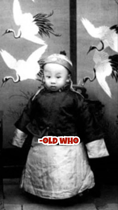 The Last King Of Chinese Dynasty 😲😲: Chinese Dynasty | #fact #history #shorts #mystery