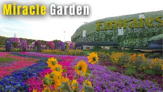 Dubai Miracle Garden - Largest Colorful Vertical Garden in the World.