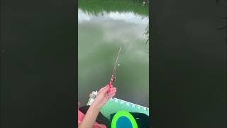 How to Catch Small Fish in River Most Amazing Fishing Video #fishing #shortvideo